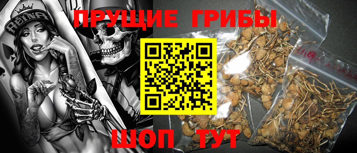 наркошоп  Псилоцибиновые грибы Psilocybine cubensis  Галлюциногенные грибы MAGIC MUSHROOMS  Вход с VPN  Белорецк 